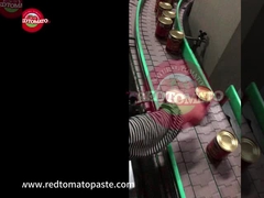 Bột cà chua nồng độ cao 3 lần đóng hộp 425g nắp mở cứng mỗi lon