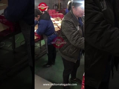 Bột cà chua đóng hộp kiểm soát chất lượng trên đường dây