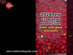 Mẫu bột cà chua trống