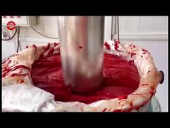 Đứng lên Sachet Tomato Paste